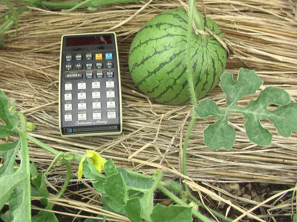 数値実験のおもしろさ(50年前の問題ですが)_c0335218_13335922.jpg