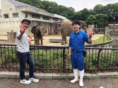 第575回 とべ動物園 アフリカゾウの飼育員 濱田 純基さん_b0172620_14004772.jpg