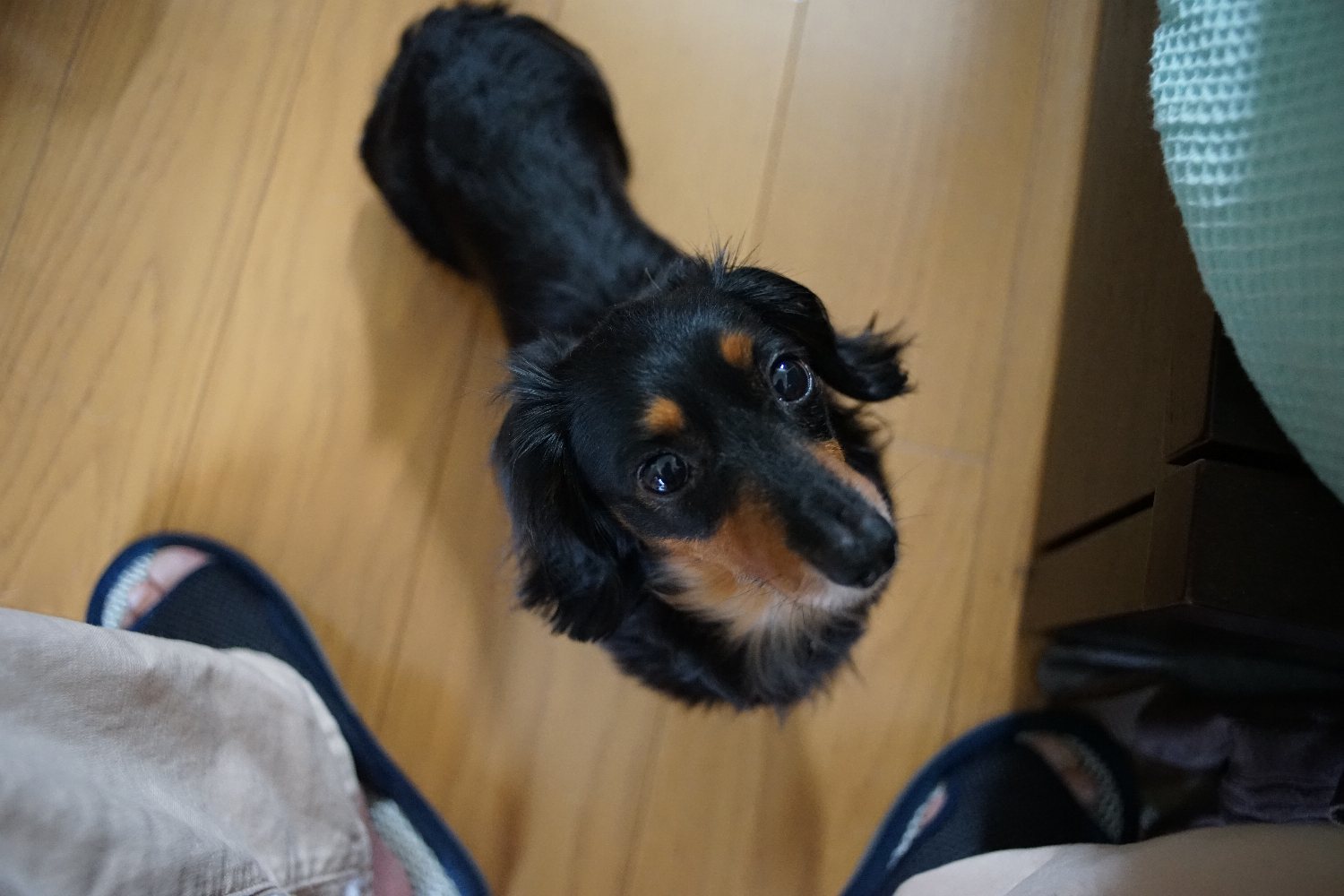出て来た Ai Nikkor 28mm F2.8 で_b0069128_13173090.jpg