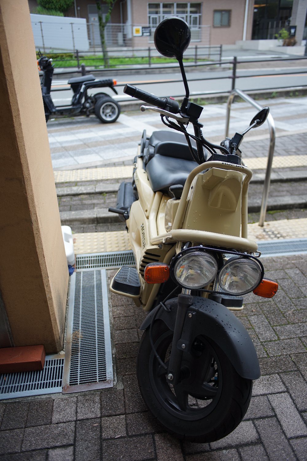 出て来た Ai Nikkor 28mm F2.8 で_b0069128_13173748.jpg
