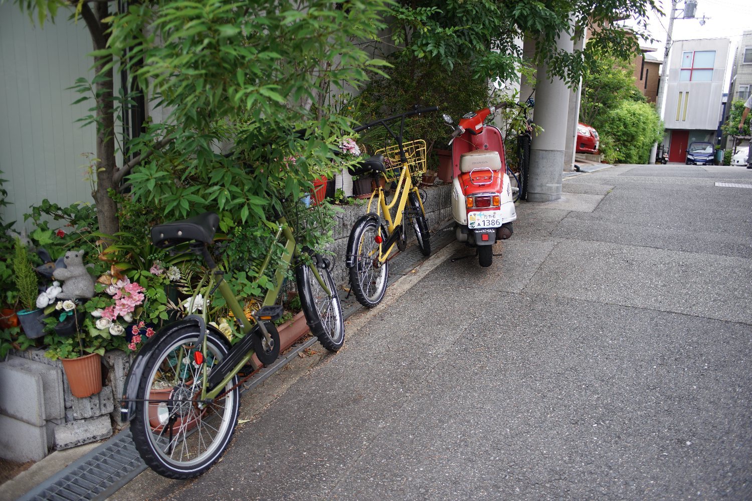 出て来た Ai Nikkor 28mm F2.8 で_b0069128_13182264.jpg