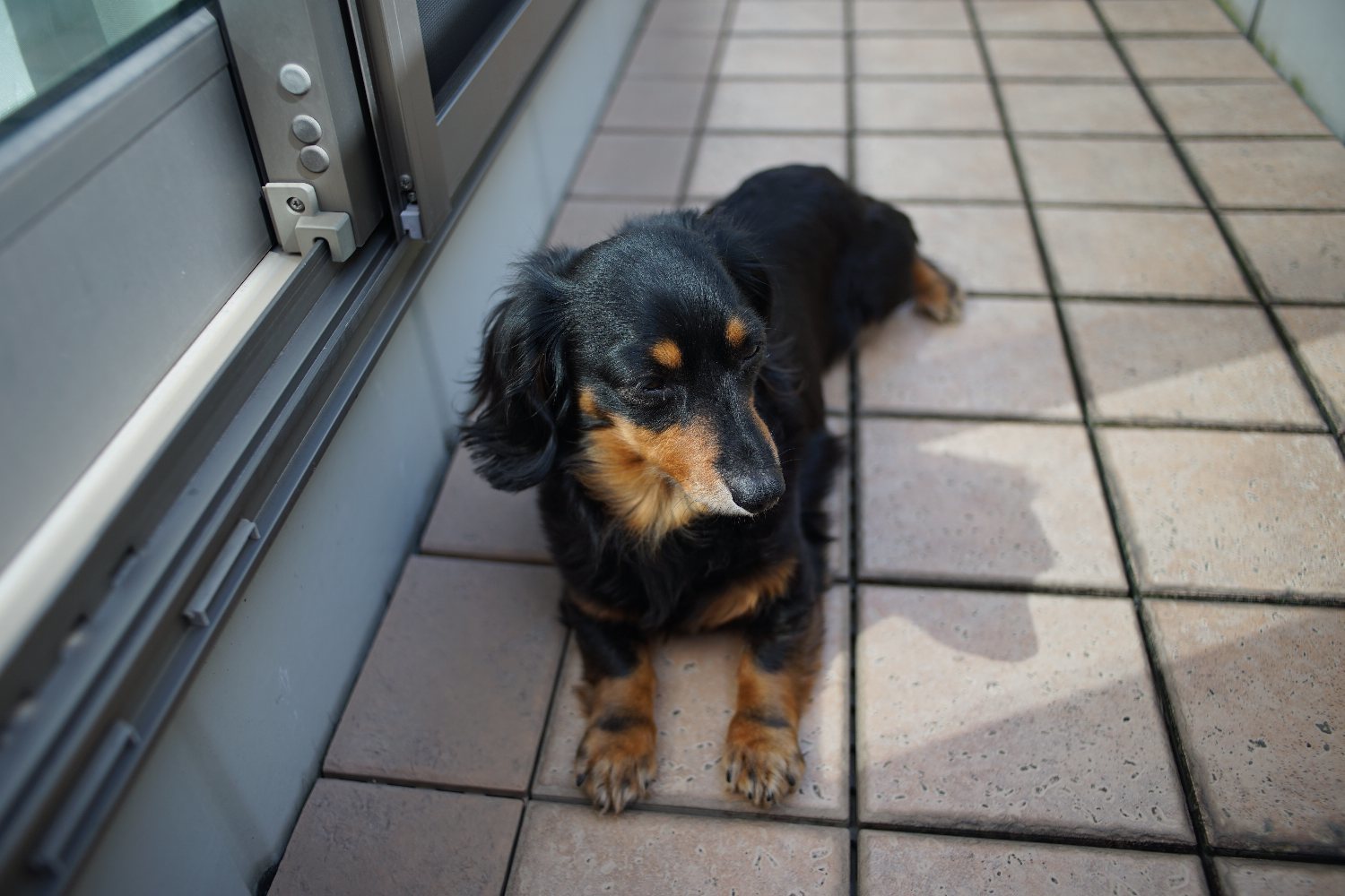 出て来た Ai Nikkor 28mm F2.8 で_b0069128_13182933.jpg