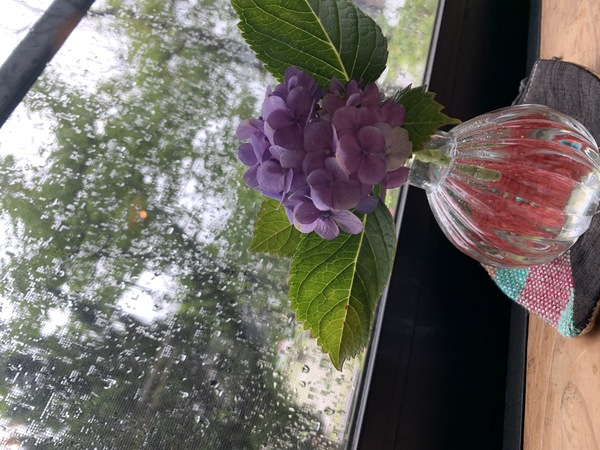延期のお知らせ_d0180229_1653671.jpg