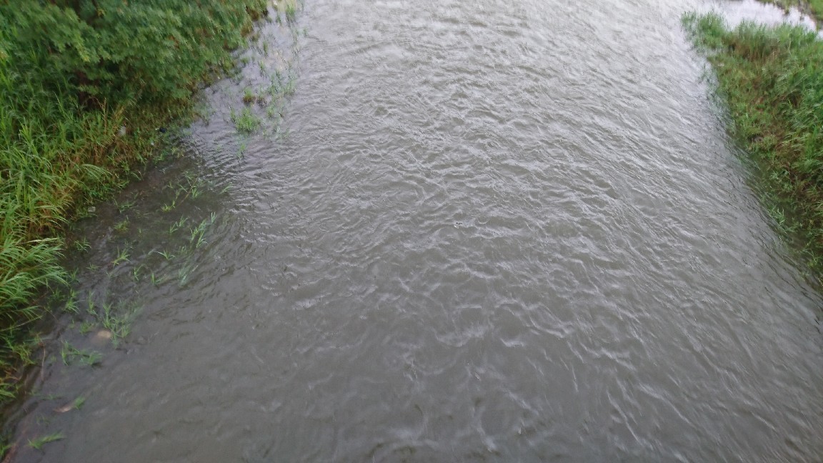 7月4日 河川情報。午..._c0266737_06181367.jpg