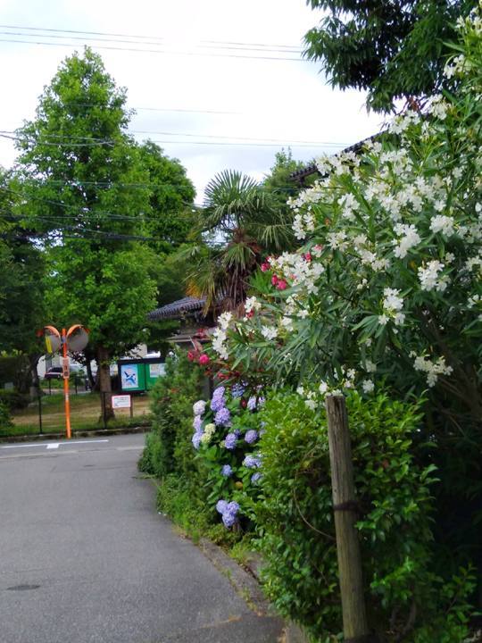 ミニスマホ_e0403850_20081352.jpg