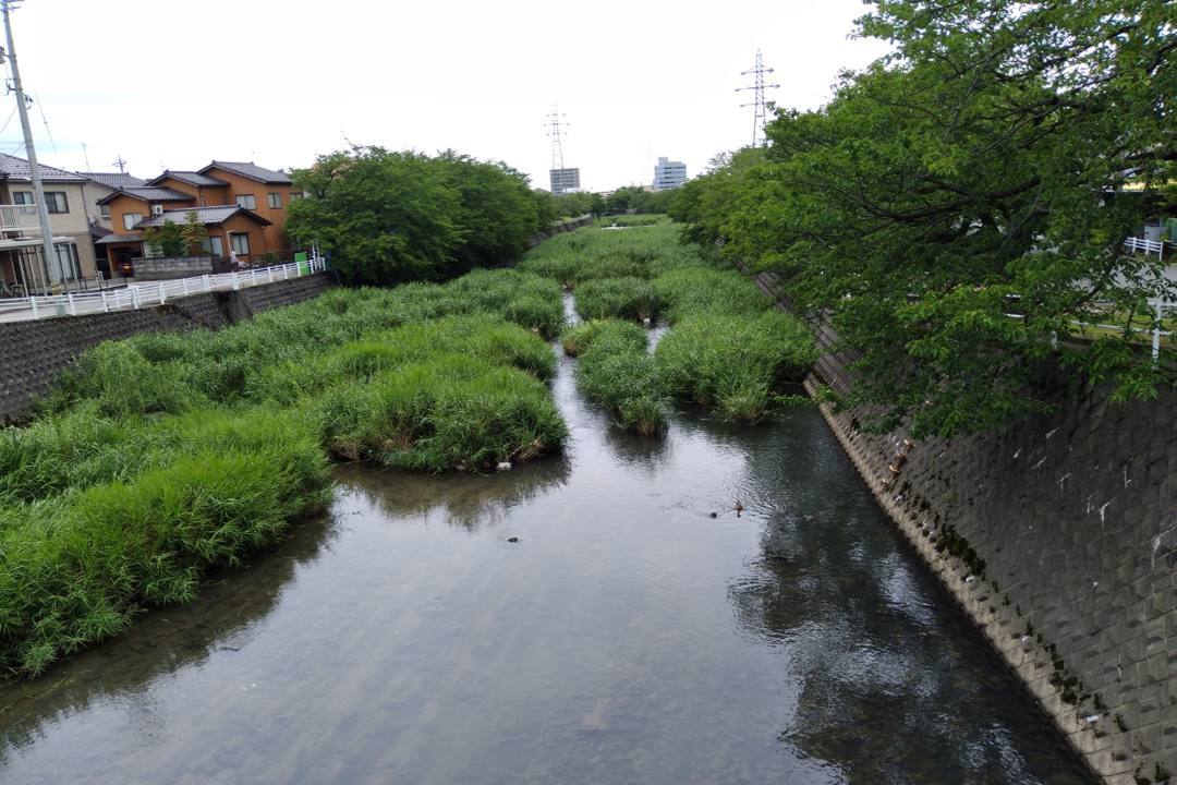 ミニスマホ_e0403850_20083757.jpg