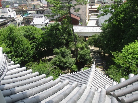 大垣「水害写真展」と大垣城天守閣_f0197754_16320434.jpg