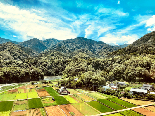 八ヶ岳高原ブルーベリー狩り_b0181457_00563457.jpg