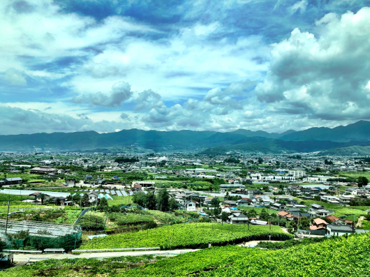 八ヶ岳高原ブルーベリー狩り_b0181457_00563948.jpg