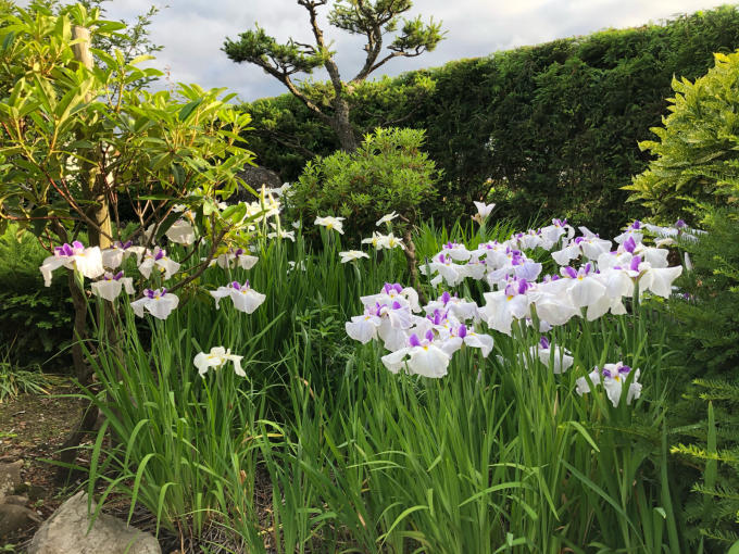 健康診断_b0093660_09575828.jpg