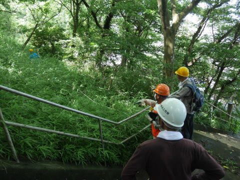 梅雨の晴れ間に令和2年度六国見山見通し調査7・2_c0014967_12214437.jpg