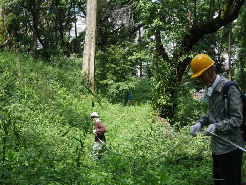 梅雨の晴れ間に令和2年度六国見山見通し調査7・2_c0014967_12240311.jpg