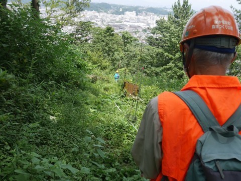 梅雨の晴れ間に令和2年度六国見山見通し調査7・2_c0014967_12252956.jpg