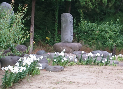 花2題 あじさい&永良部ユリ_f0168873_22524787.jpg