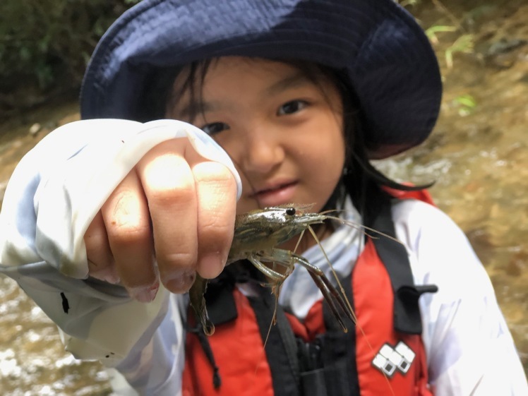 青空ようちえん〔週末〕かわであそぼう(6/28)久しぶりの親子川遊び。ちびっこから大人まで、泳いで、生き物を探して、ジャンプして!川をみんなで楽しみました。_d0363878_15013747.jpg