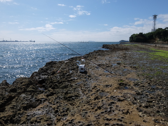 山陰キスの釣り歩き 山陰キスの釣り歩き