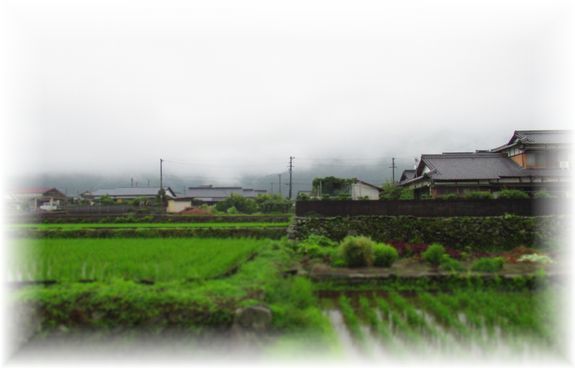 窓から見える景色 素敵ゆったり田舎暮らし 2 窓から見える景色 素敵ゆったり田舎暮らし 2