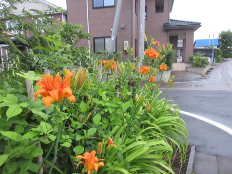 沖縄の風は強風_a0203003_18515334.jpg