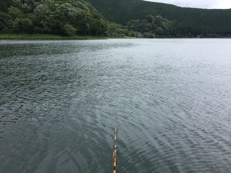 田貫湖遠征二日目 ヘラブナ釣り池 茨木新池とゆかいな仲間たち 田貫湖遠征二日目 ヘラブナ釣り池 茨木新池とゆかいな仲間たち