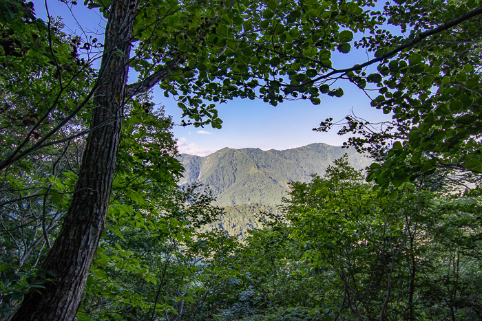 ナツヤマはじめました　巻機山_b0244811_17560556.jpg