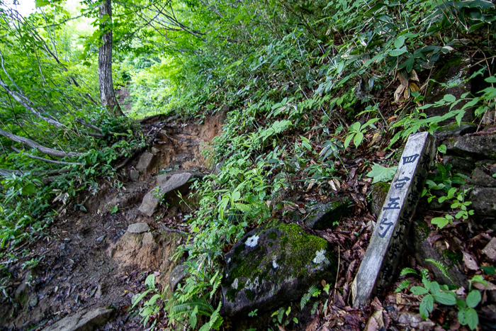 ナツヤマはじめました 巻機山_b0244811_18274739.jpg