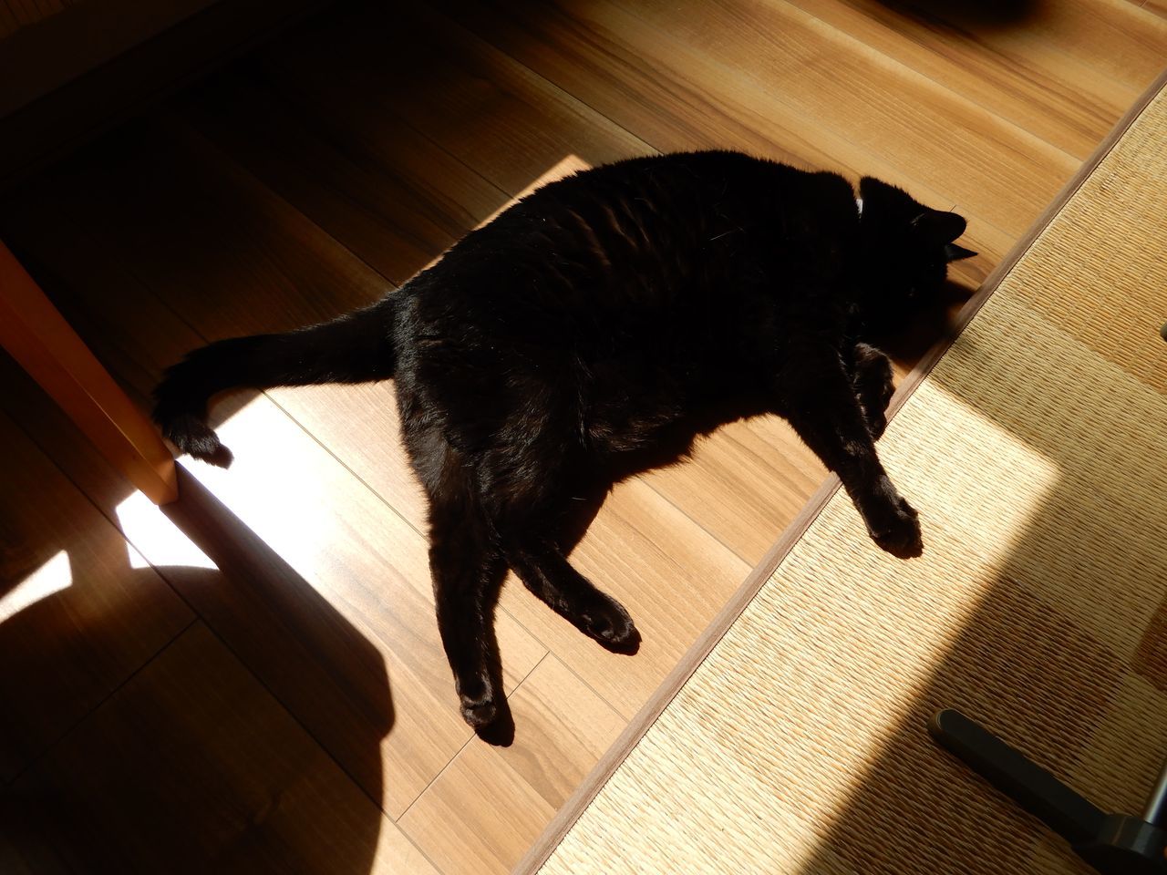 久々の夏日_c0025115_21505364.jpg