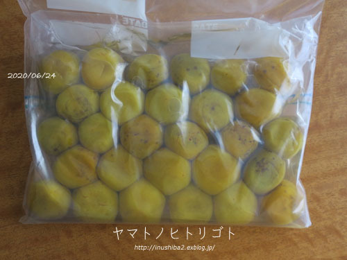 梅仕事の備忘録【下漬け→赤紫蘇漬け】_e0394031_06205183.jpg