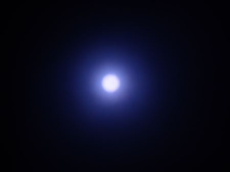 2020年6月上旬~7月上旬 埼玉県北部 拙宅の虫たち_c0353632_11324882.jpg