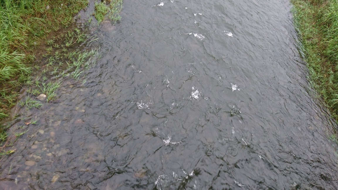 7月5日 河川情報。午..._c0266737_06040130.jpg