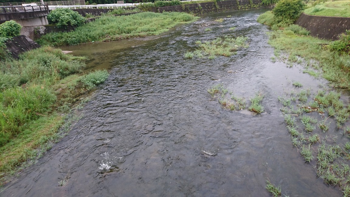 7月5日 河川情報。午..._c0266737_06040231.jpg