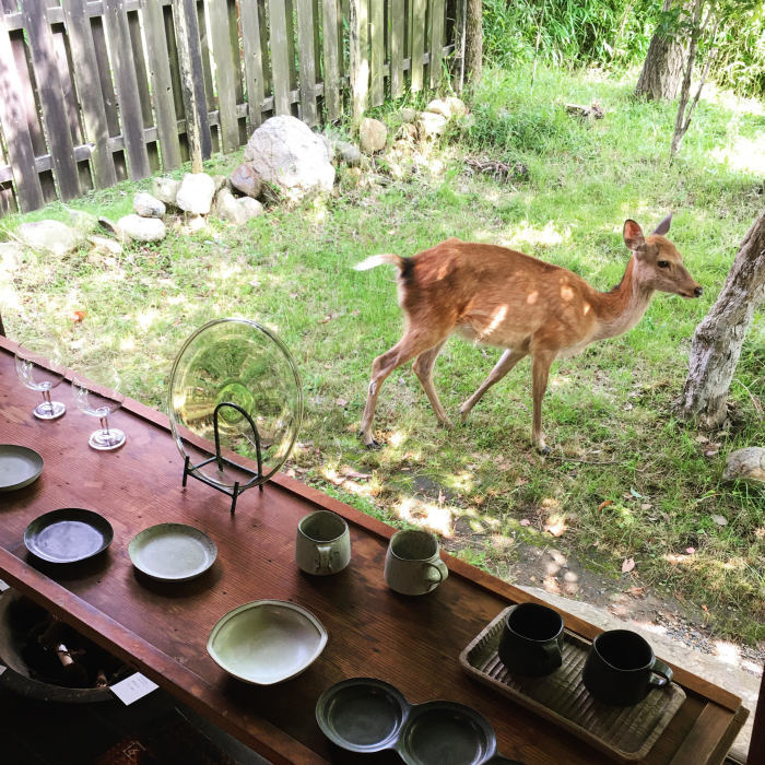 マティスの食卓より_d0210537_17454149.jpg