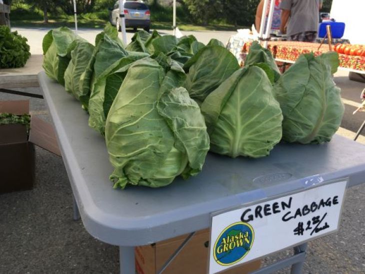 ファーマーズマーケット South Anchorage Farmers Market_b0135948_05552441.jpg