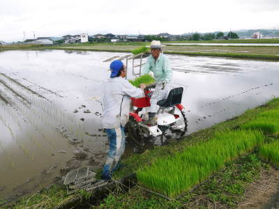 健康農園さんの田植え(2020)前編:野田さん田植えデビュー 無農薬栽培の雑穀米、発芽玄米大好評販売中!_a0254656_18490588.jpg
