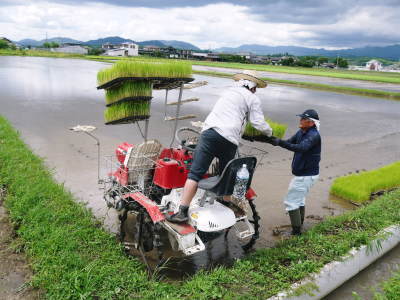 健康農園さんの田植え(2020)前編:野田さん田植えデビュー 無農薬栽培の雑穀米、発芽玄米大好評販売中!_a0254656_18503477.jpg