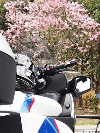 ええじゃないか 三河100名城ツーリング_e0044657_08421715.jpg