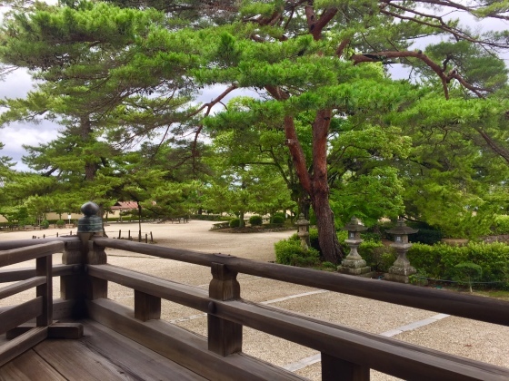 法隆寺と薬師寺と柿の葉寿司_a0258686_08122135.jpeg