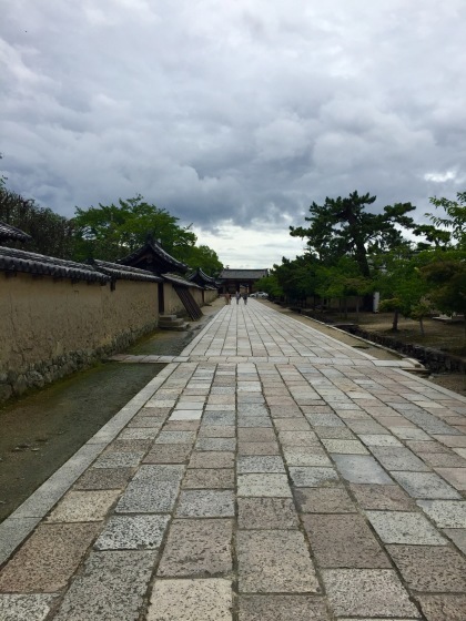法隆寺と薬師寺と柿の葉寿司_a0258686_08125499.jpeg