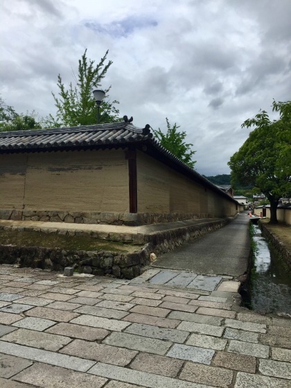 法隆寺と薬師寺と柿の葉寿司_a0258686_08132168.jpeg