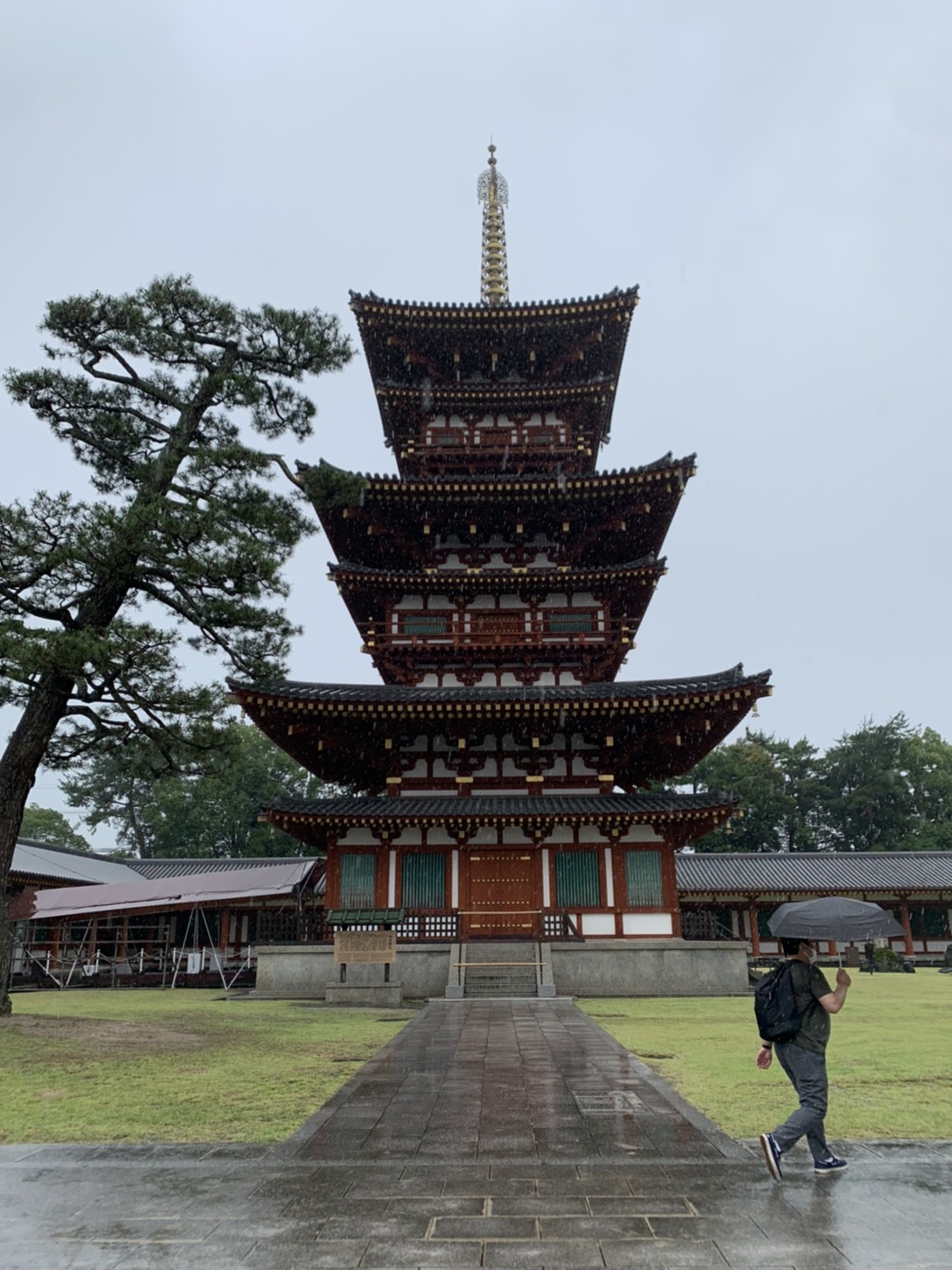 法隆寺と薬師寺と柿の葉寿司_a0258686_08230343.jpeg