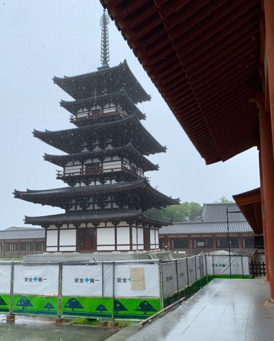 法隆寺と薬師寺と柿の葉寿司_a0258686_08233627.jpeg