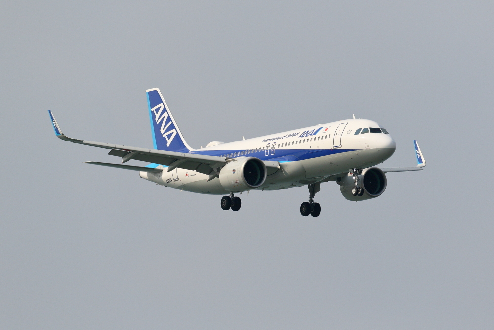 那覇空港 ANA A320-200 neoのアプローチ : 南の島の飛行機日記 那覇空港 ANA A320-200 neoのアプローチ : 南の島の飛行機日記