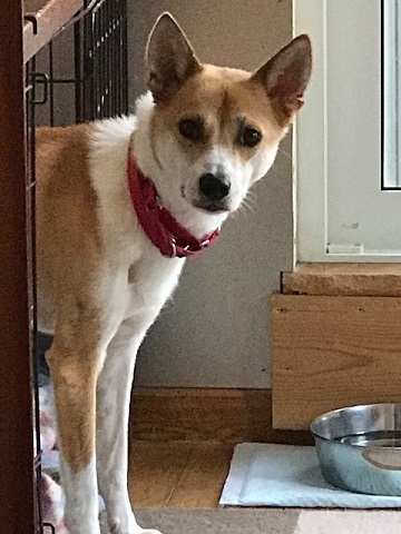 お散歩ですか?_f0242002_19181629.jpg