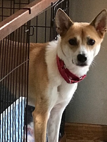 お散歩ですか?_f0242002_19183056.jpg