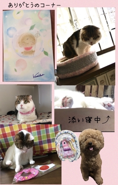 警官ななととちゃん 傘トラ猫ちゃん_f0375804_08391819.jpg
