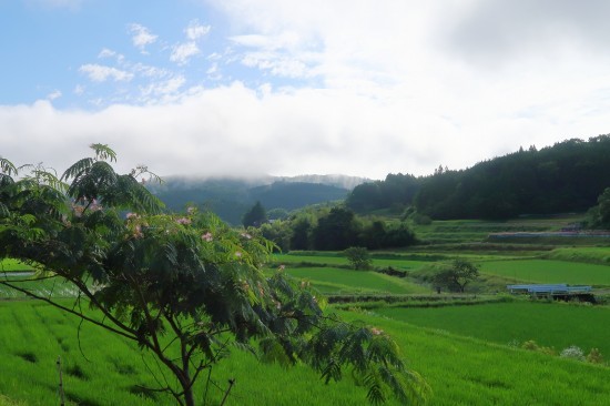 梅雨の晴れ間_d0336530_21324821.jpg