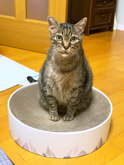 うれしいお供えジャストフィット。_d0355333_23035868.jpg