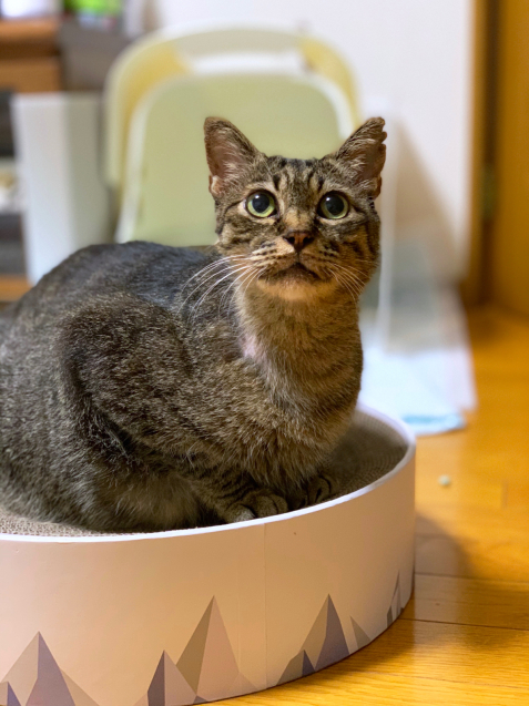 うれしいお供えジャストフィット。_d0355333_23040240.jpg