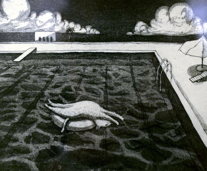 ネコ・テッパンー寺澤智恵子（銅版画） : ギャラリーびー玉