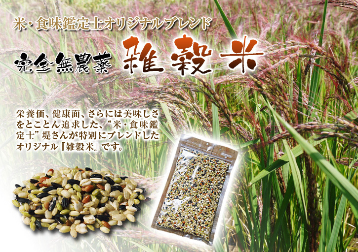 健康農園さんの田植え(2020)前編:野田さん田植えデビュー 無農薬栽培の美味しく安全な米粉も発売中!_a0254656_16025950.jpg