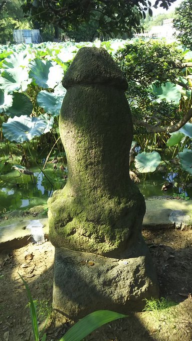 2020/6/30conc.-7/6am2:38紙焼き写真:京都上醍醐ほか・首里城と波ノ上宮・狩りするダツ・陽石と田の神さあ・茅の目・大阪城・石上神宮・目黒不動_b0116271_13500554.jpg